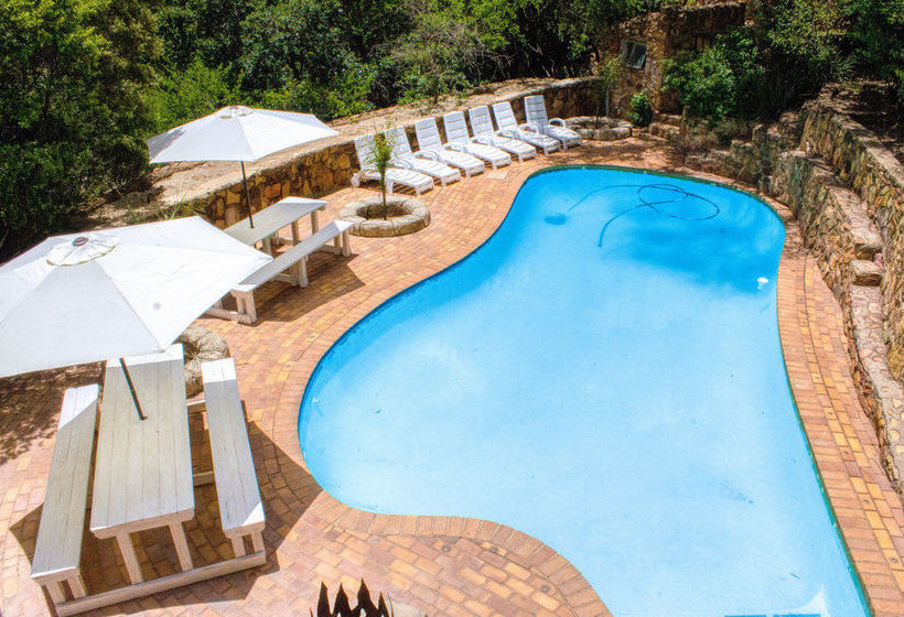 Hotel Rain Forest Boutique Camp 10