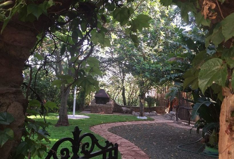 Hotel Rain Forest Boutique Camp 19