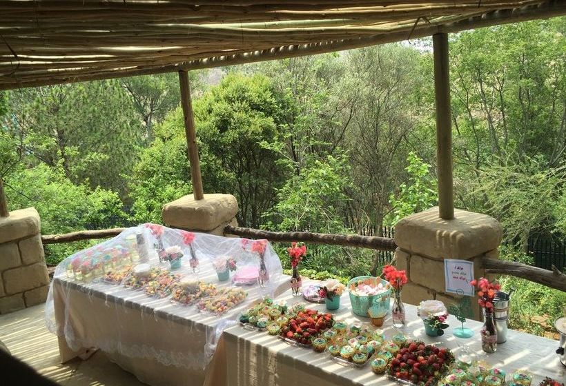 Hotel Rain Forest Boutique Camp 20