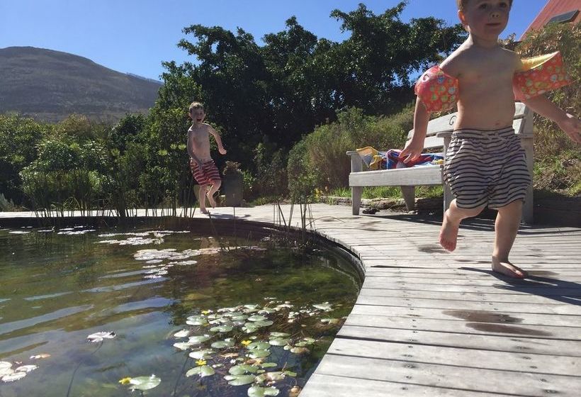 Leopardstone Hill 14