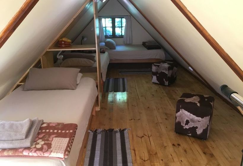 Zur Alten Mine Guest Farm B&b 13