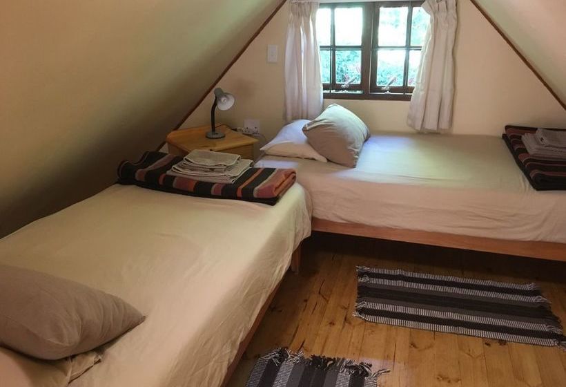 Zur Alten Mine Guest Farm B&b 14