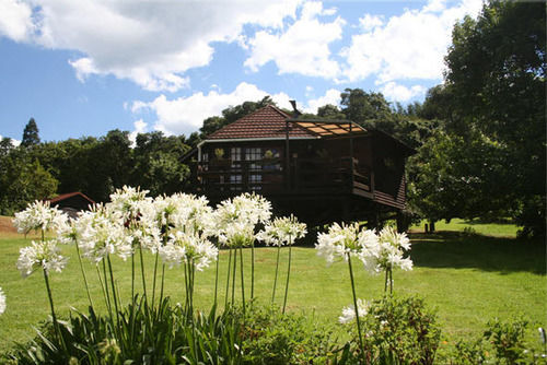 Zur Alten Mine Guest Farm B&b 5