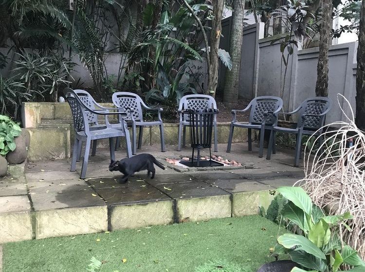 Pension Beach Forest Lodge 1