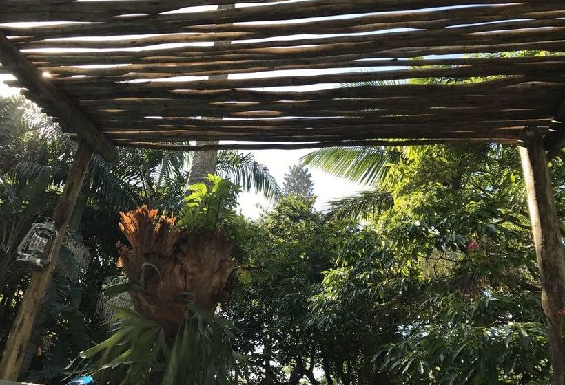 Pension Beach Forest Lodge 10