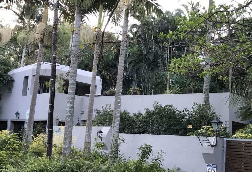 Pension Beach Forest Lodge 11