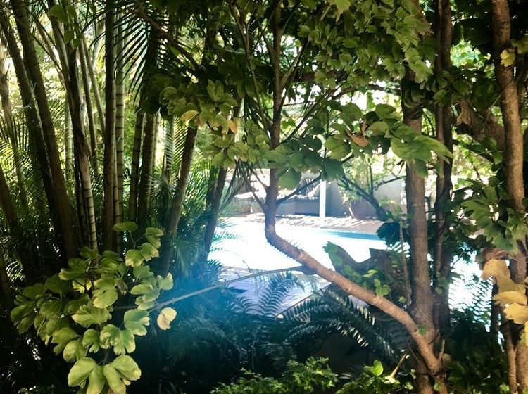 Pension Beach Forest Lodge 17