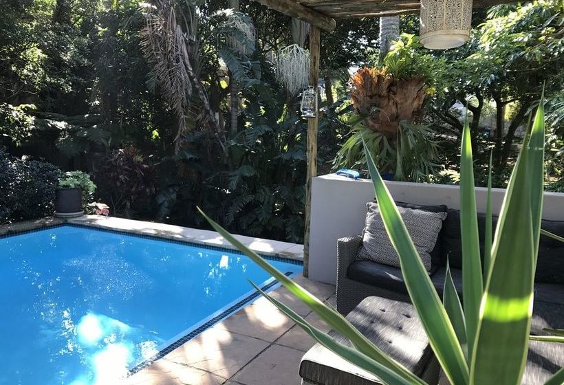 Pension Beach Forest Lodge 5