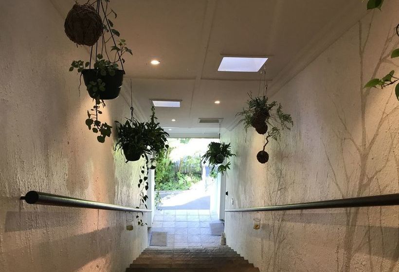 Pension Beach Forest Lodge 9