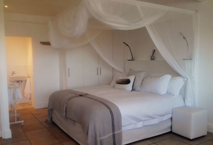 Bed and Breakfast Whale Coast Villa 18