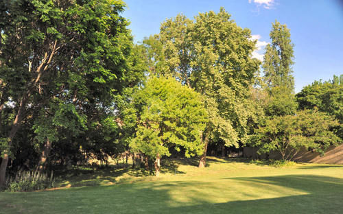 Pension Sand River Guest House 14