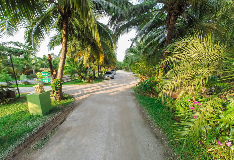 Hotel Coconut Resort 2