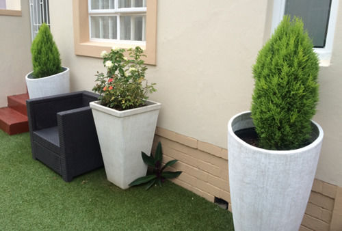 Pension Musgrave Avenue Guest Lodge 8