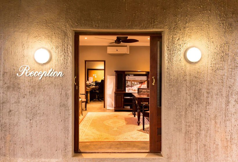 Pension The Hilton Bush Lodge 1