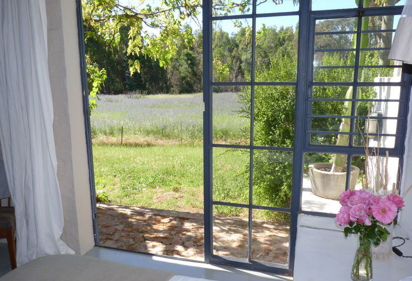 Pension Essere Lodge 11