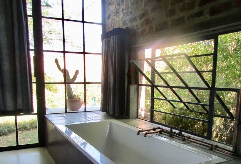 Pension Essere Lodge 12