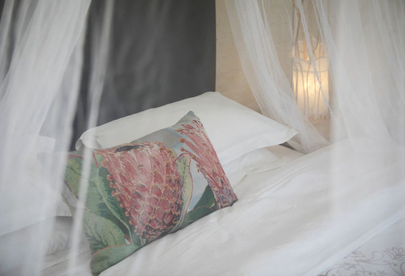 Pension Essere Lodge 9