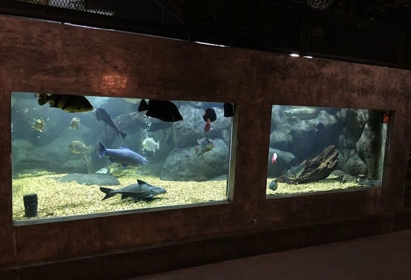 Hotel Elite Residence 5