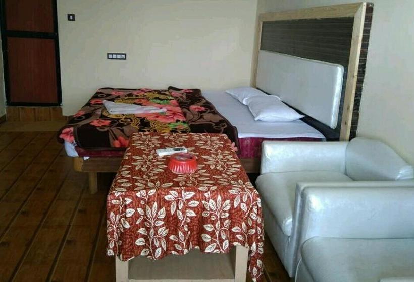 Hotel Yellow House 2