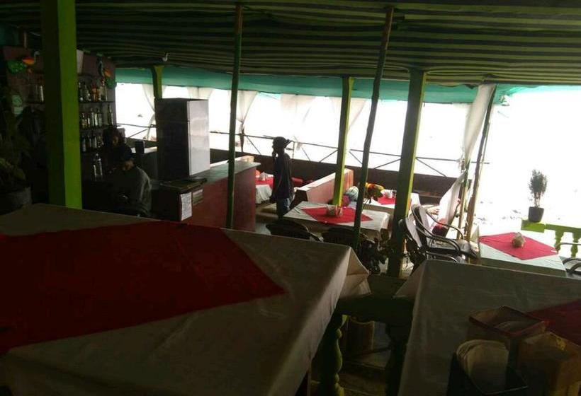 Hotel Yellow House 5