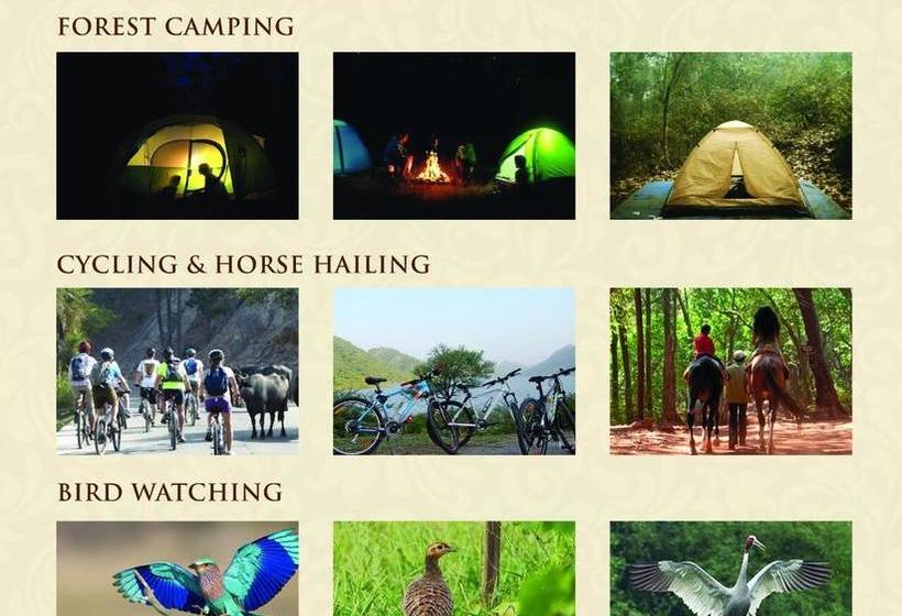 Padmavati Lake Resort 4