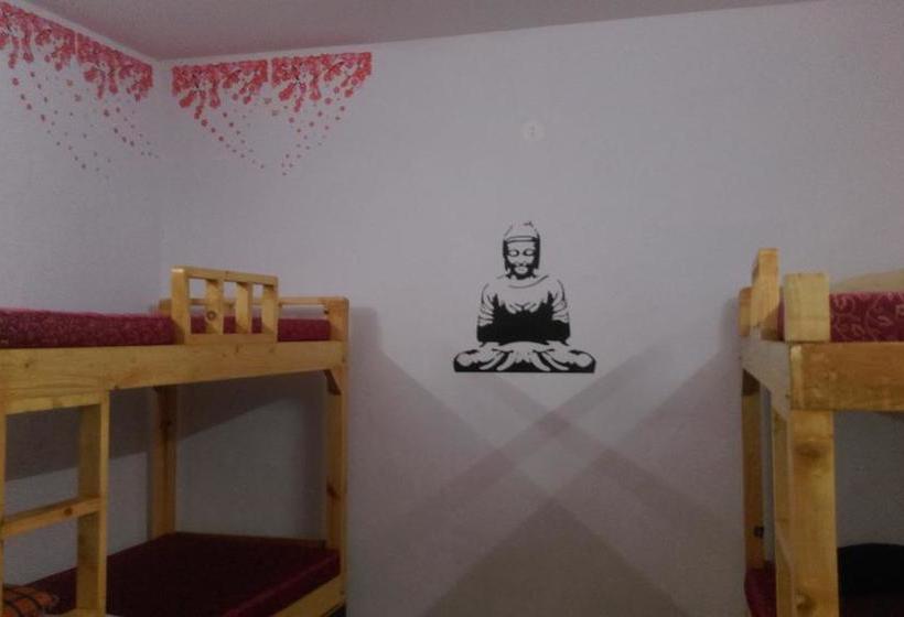 Albergue Goa Dorms 6