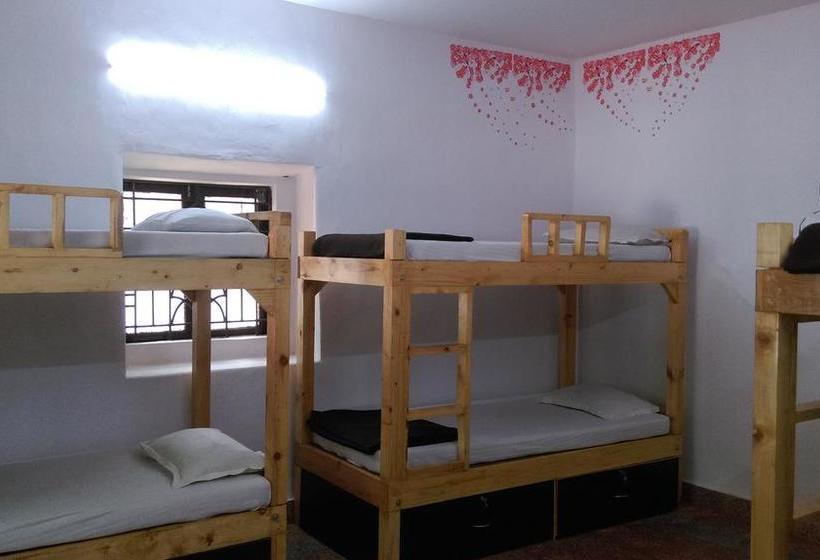 Albergue Goa Dorms 8