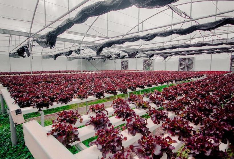 Rai Arunvit Resort 14