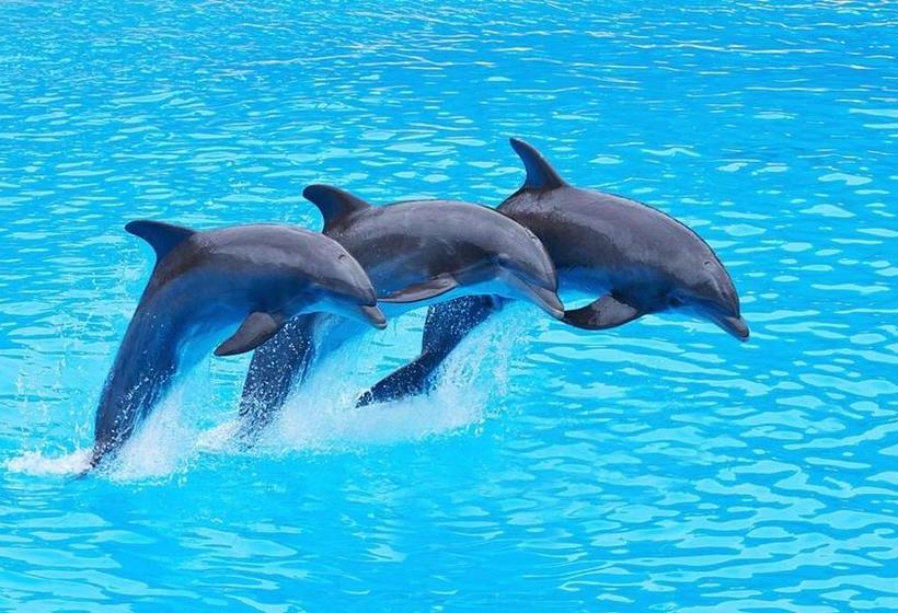 Gangauri Beach Resort Lva 1