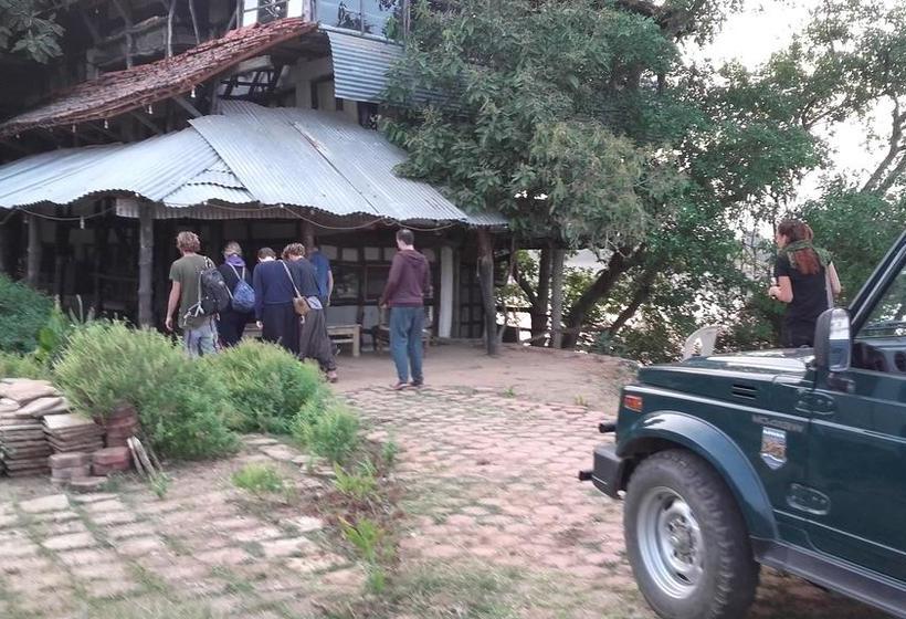 Hostel Ken Jungle Vibes 2