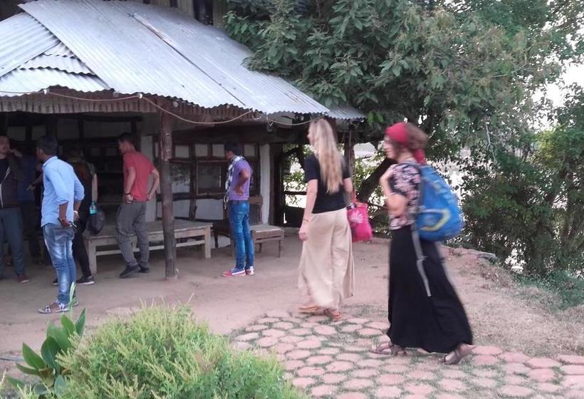 Hostel Ken Jungle Vibes 4