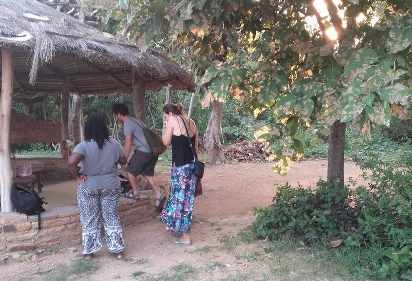 Hostel Ken Jungle Vibes 5