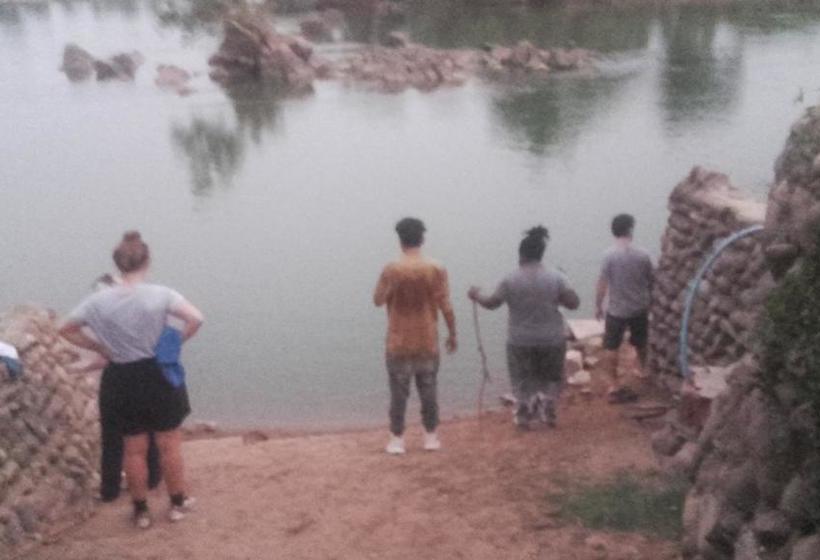 Hostel Ken Jungle Vibes 6