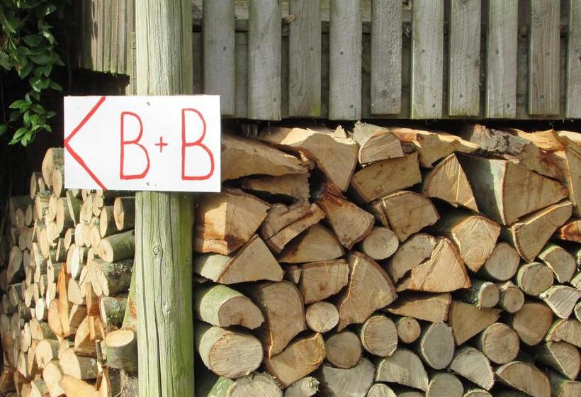 Bed and Breakfast River Chalet 11