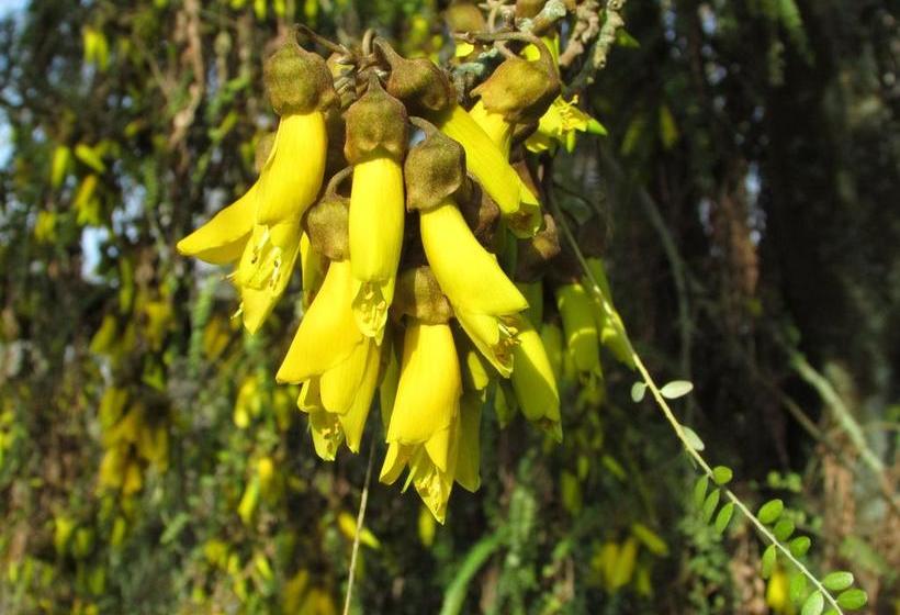 Bed and Breakfast River Chalet 6