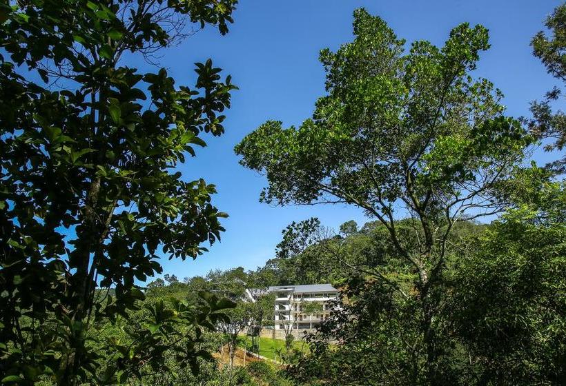 Resort Hostess Thekkady 1