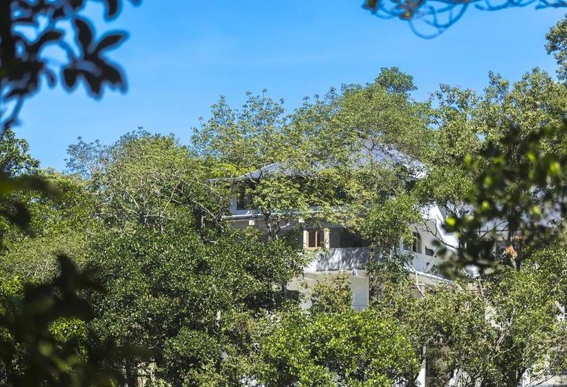 Resort Hostess Thekkady 2