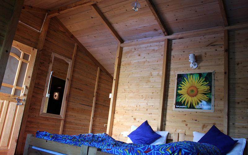 Blue Poppy Resorts 2