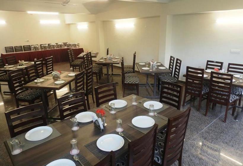 Hotel Newsnowbirdmanali 12