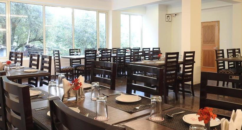 Hotel Newsnowbirdmanali 7