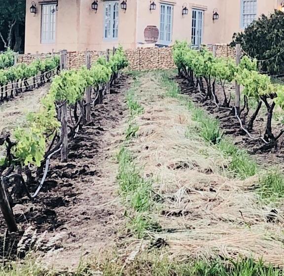 Bed and Breakfast Mon Reve Wine Estate 12