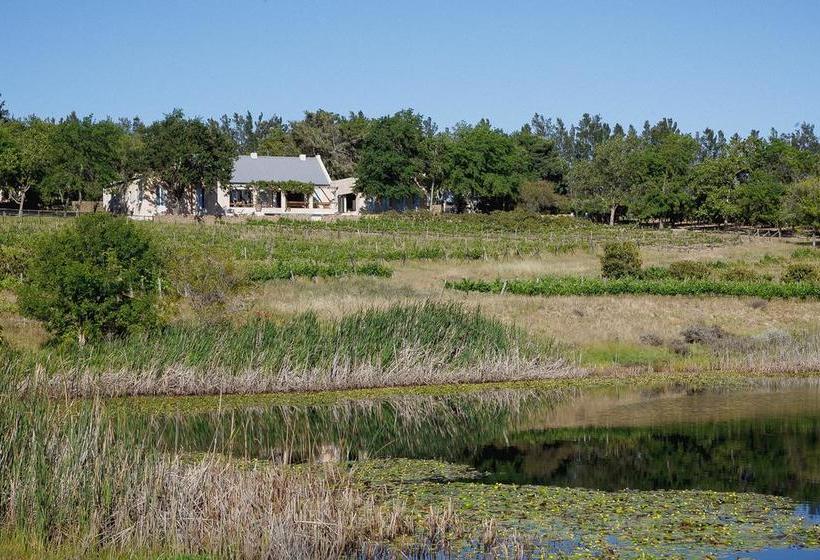 Bed and Breakfast Mon Reve Wine Estate 3