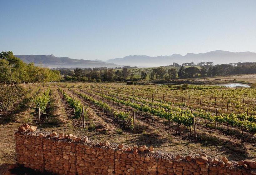 Bed and Breakfast Mon Reve Wine Estate 4