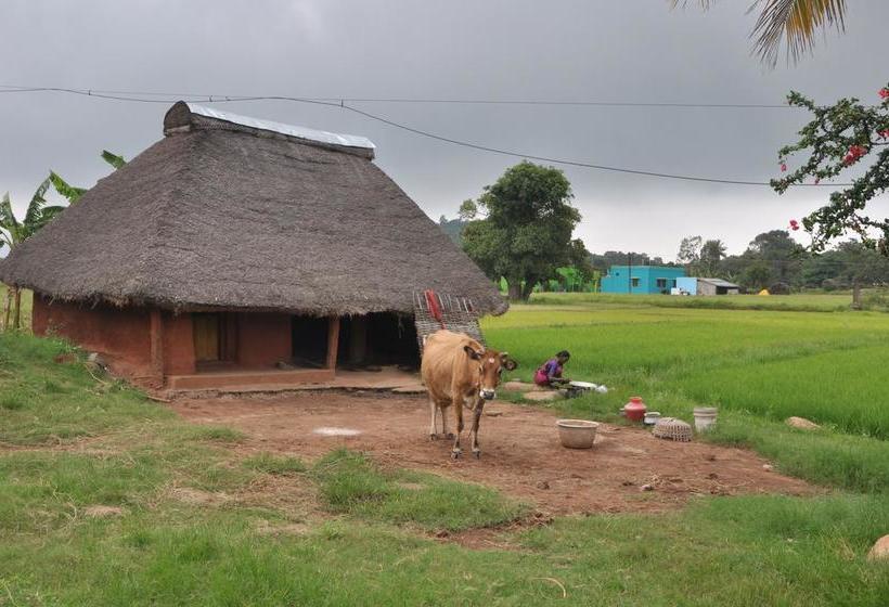 Niha Hotels&resorts 17