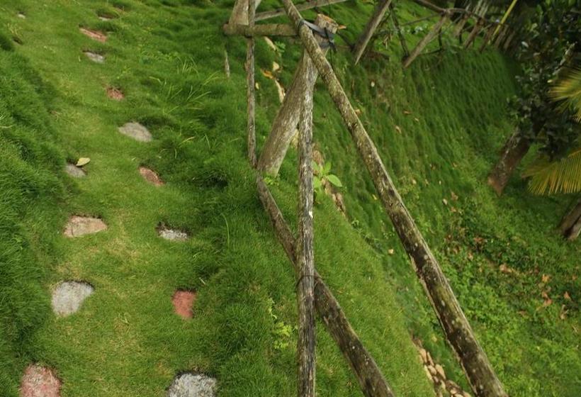 Resort Kedara Village 2