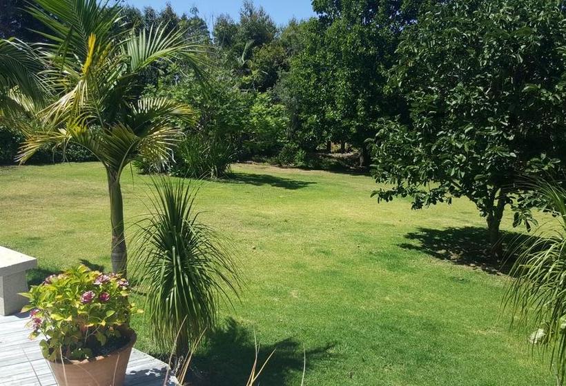 Bed and Breakfast Rustic Vs Glamour Executive Property 6