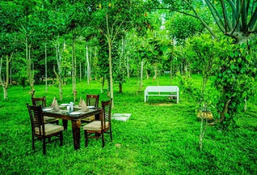 Yellow Lake Resort And Spa 1