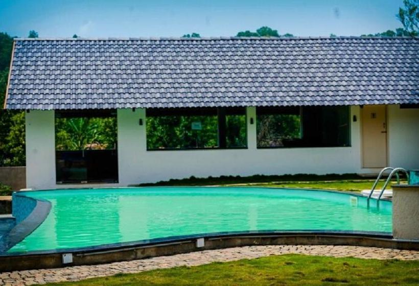 Yellow Lake Resort And Spa 7