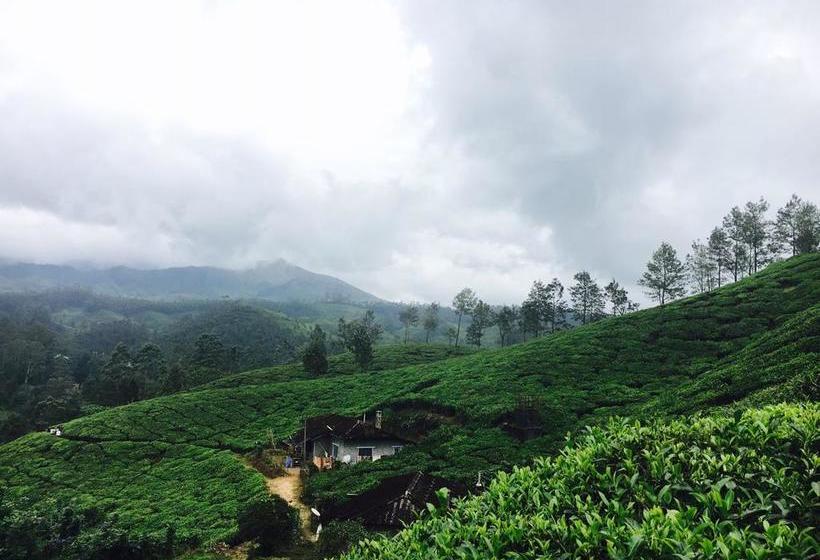 Bed and Breakfast Malankara Cottage 15