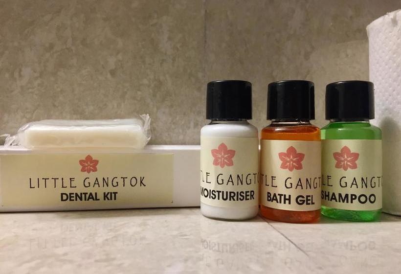 Hotel Little Gangtok 10